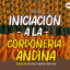 Museo Fonck presenta taller online de iniciación a la Cordonería Andina